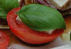 Tomaten mit Basilikum